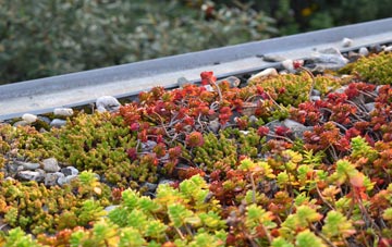 the cost of West Bradford green roof installation
